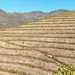 Country house Wine House - Quinta Vale De Carvalho *