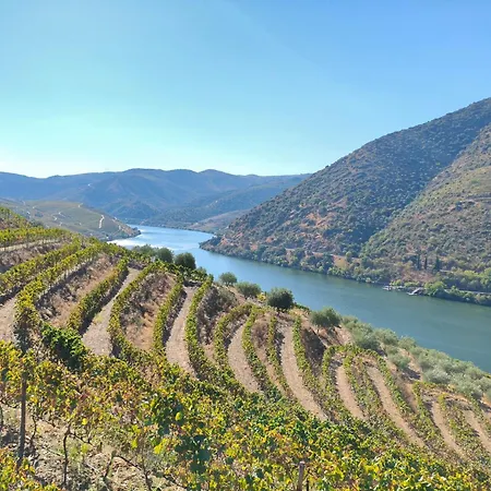 Séjour à la campagne Wine House - Quinta Vale De Carvalho Torre De Moncorvo