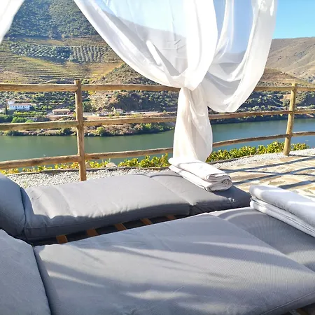 Wine House - Quinta Vale De Carvalho Kır Evi