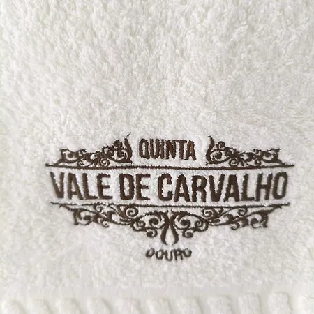 Wine House - Quinta Vale De Carvalho Kır Evi