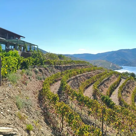 Wine House - Quinta Vale De Carvalho Torre De Moncorvo