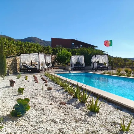 Wine House - Quinta Vale De Carvalho Kır Evi *