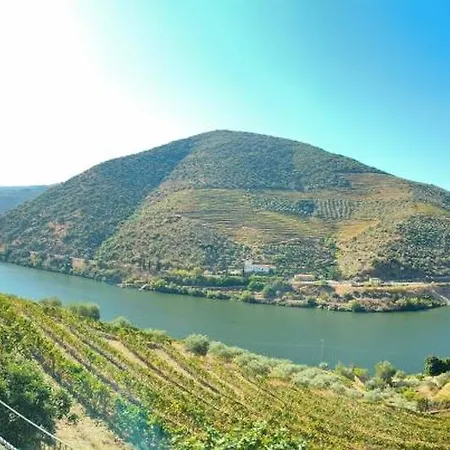 Wine House - Quinta Vale De Carvalho Kır Evi Torre De Moncorvo