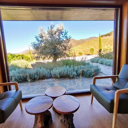 Wine House - Quinta Vale De Carvalho * Torre De Moncorvo