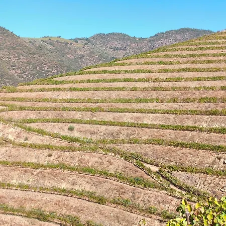 Landsted Wine House - Quinta Vale De Carvalho *