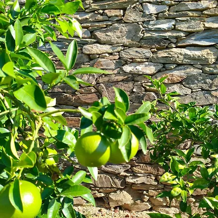 Wine House - Quinta Vale De Carvalho