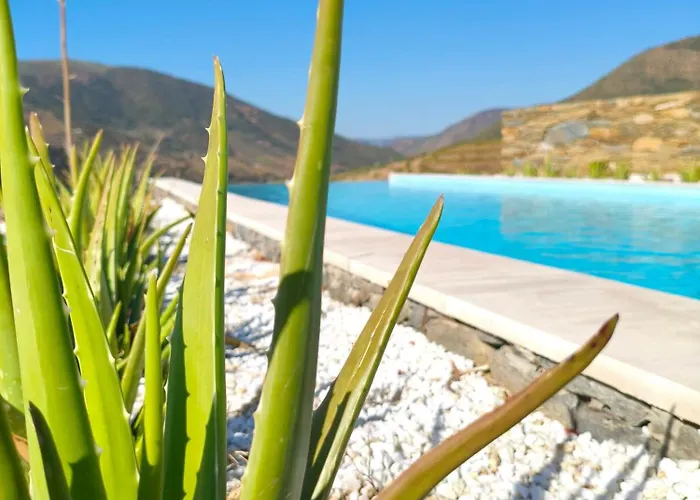 Wine House - Quinta Vale De Carvalho Torre De Moncorvo