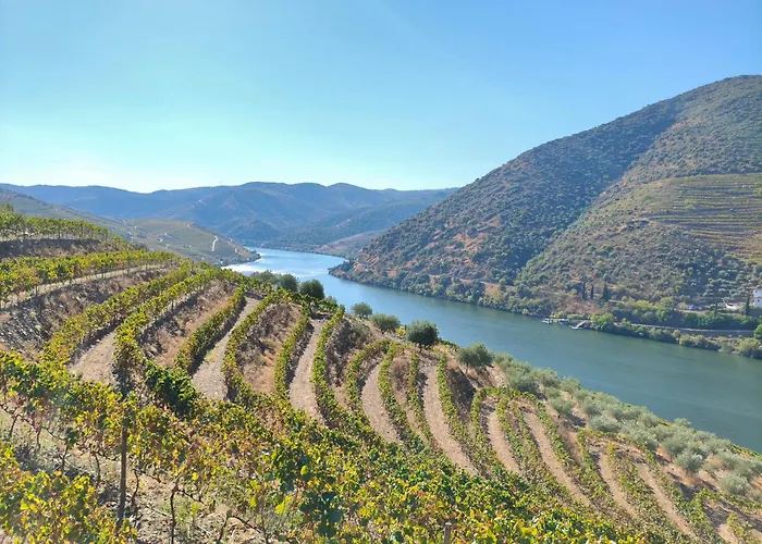 Casa rural Wine House - Quinta Vale De Carvalho Torre De Moncorvo