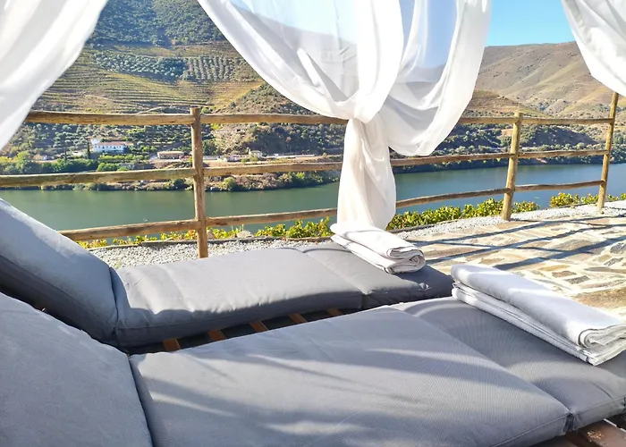 Wine House - Quinta Vale De Carvalho Kır Evi