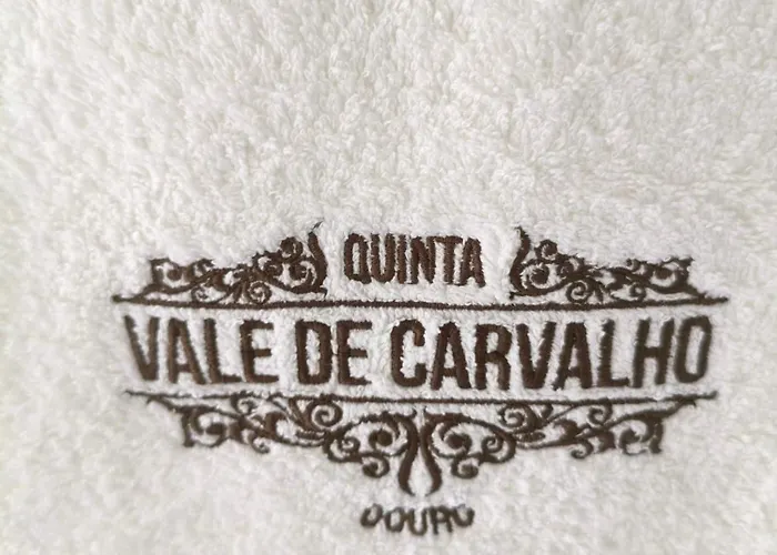 Wine House - Quinta Vale De Carvalho Kır Evi