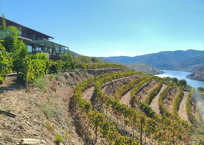 Wine House - Quinta Vale De Carvalho Torre De Moncorvo