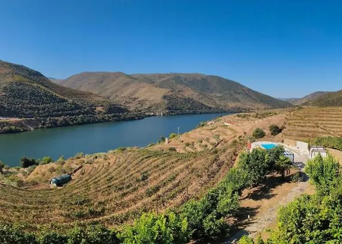 Wine House - Quinta Vale De Carvalho * Torre De Moncorvo