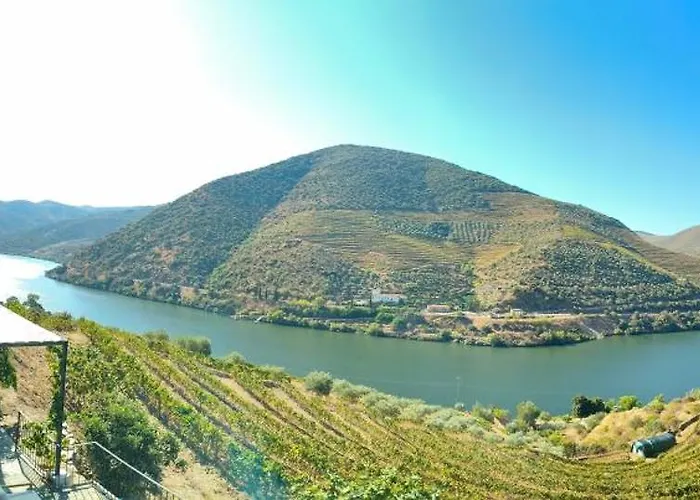 Wine House - Quinta Vale De Carvalho Kır Evi Torre De Moncorvo