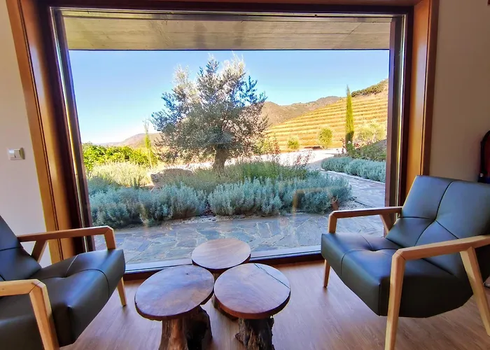 Wine House - Quinta Vale De Carvalho * Torre De Moncorvo