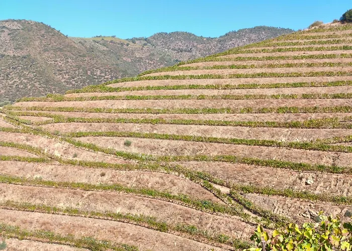 Casa rural Wine House - Quinta Vale De Carvalho *