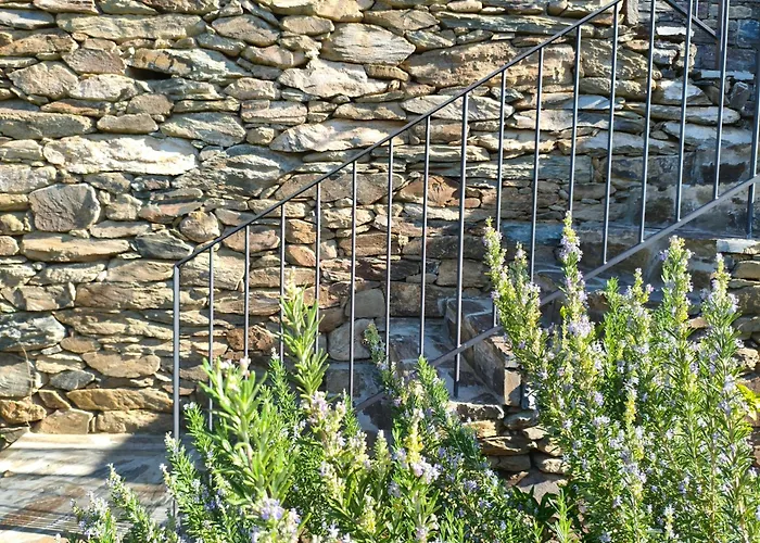 Wine House - Quinta Vale De Carvalho Casa rural *