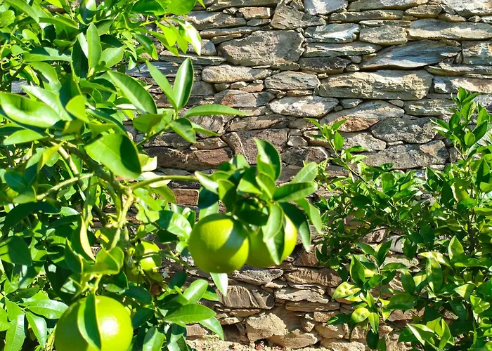 Wine House - Quinta Vale De Carvalho